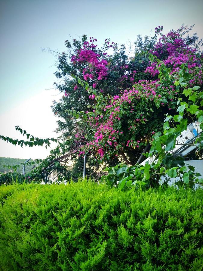 Yalcin Hotel Çeşme Exterior foto
